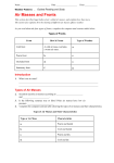 Air Masses and Fronts Guided Reading worksheet