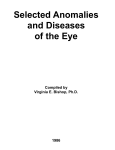 Selected Anomalies And Diseases Of The Eye