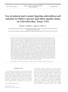 Use of natural and created Spartina alterniflora salt marshes by