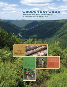 Economic Forest Workforce