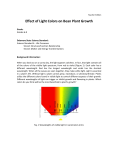 Effect of Light Colors on Bean Plant Growth