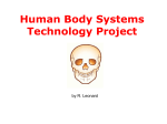 Human Body Systems Technology Project