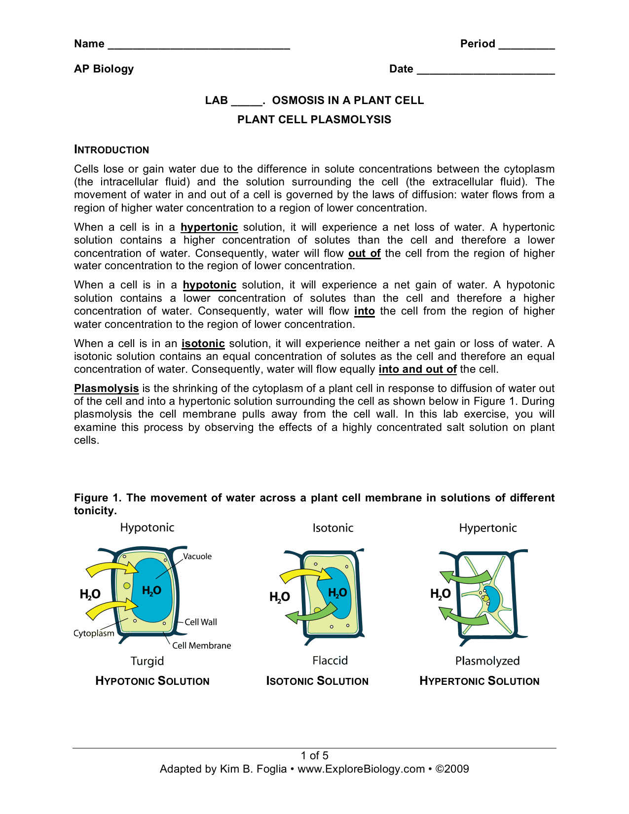 43-tonicity-and-osmosis-worksheet-worksheet-master