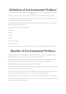 Definition of Environmental Wellness