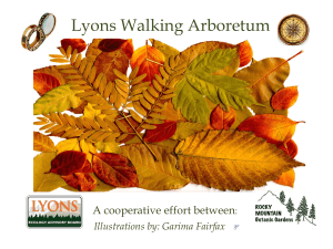 Lyons Walking Arboretum