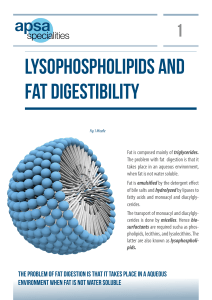Lysophospholipids and fat digestibility