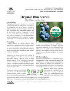 Organic Blueberries - University of Kentucky