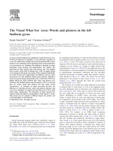 Words and pictures in the left fusiform gyrus