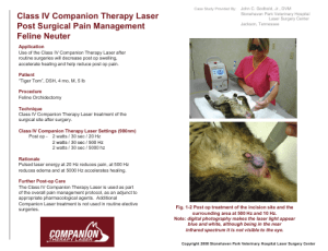 Class IV Companion Therapy Laser Post Surgical Pain