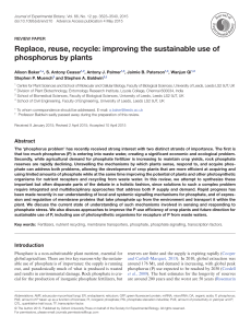 Replace, reuse, recycle: improving the sustainable use of