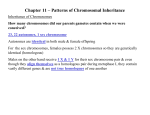 Chapter 11 – Patterns of Chromosomal Inheritance