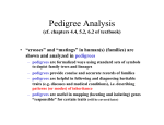 Pedigree Analysis