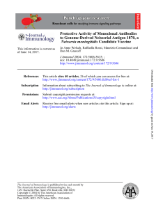 Candidate Vaccine Neisseria meningitidis a to Genome