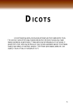 dicots - FLEPPC