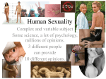 human sexuality: in-class activity: dolls