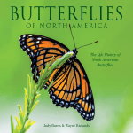 The Life History of North American Butterflies