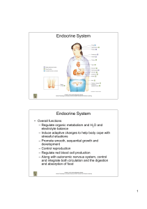 Endocrine System Endocrine System