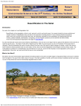 Desertification In The Sahel