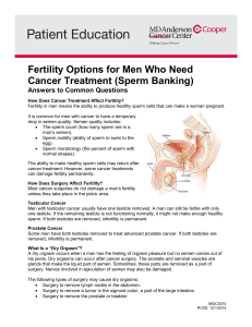 Fertility Options for Men Who Need Cancer Treatment (Sperm