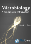 Microbiology: A Fundamental Introduction
