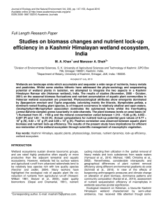 Studies on biomass changes and nutrient lock