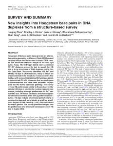 SURVEY AND SUMMARY New insights into Hoogsteen base pairs
