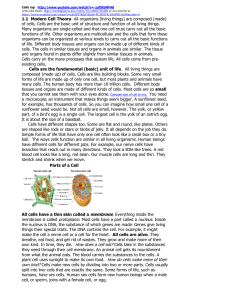 1.1 Modern Cell Theory- All organisms (living things) are composed