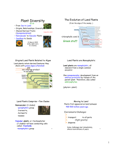 Plant Diversity