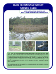 Blue Heron Reserve Guide