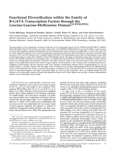 Functional Diversiication within the Family of B