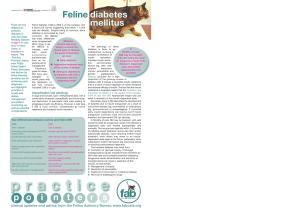 Practice pointer – feline diabetes mellitus