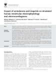 Impact of amiodarone and cisapride on simulated human ventricular
