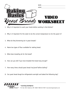 DownloadYeast Breads Video Worksheet