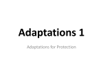 Adaptations for Protection