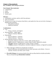 Macromolecules Vocabulary and Concepts