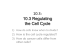 10.3: 10.3 Regulating the Cell Cycle