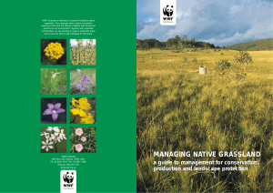 managing native grassland