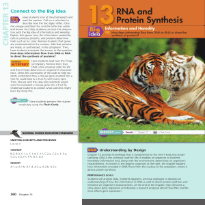 RNA and Protein Synthesis