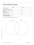 Mitosis and Meiosis Comparison