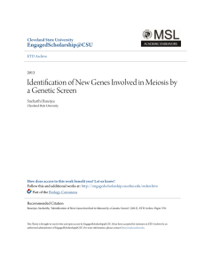 Identification of New Genes Involved in Meiosis by a Genetic Screen