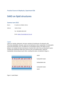 SAXS on lipid structures