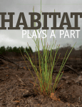 HABITAT - Outdoor Alabama