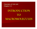 Intro to Macromolecules
