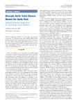 Bicuspid Aortic Valve Disease Beyond the Aortic Root
