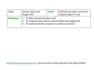 Topic - the science teacher