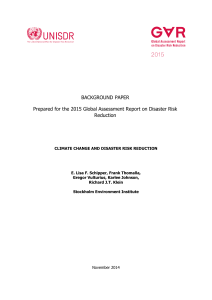 BACKGROUND PAPER Prepared for the 2015 Global Assessment