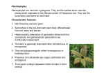 Pteridophytes are vascular cryptogams. They are the