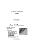 Cell Transport Notes - New Jersey Institute of Technology