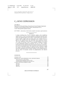 GENE EXPRESSION - Department of Molecular Biology