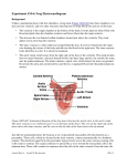 Experiment AM-6: Frog Electrocardiogram